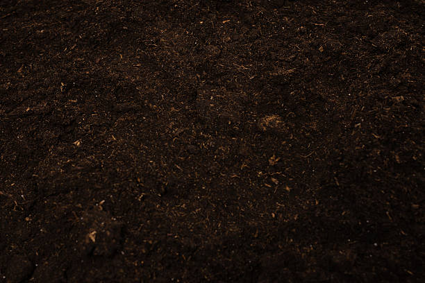 istock Woman hand trace on a ground. 2221753304