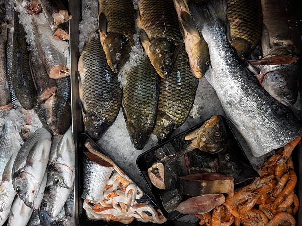 istock Fresh Seafood Display at a Local Fish Market 2221755663