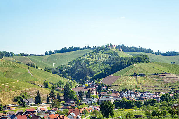istock Vineyards in spring in Durbach, Germany 2221757783