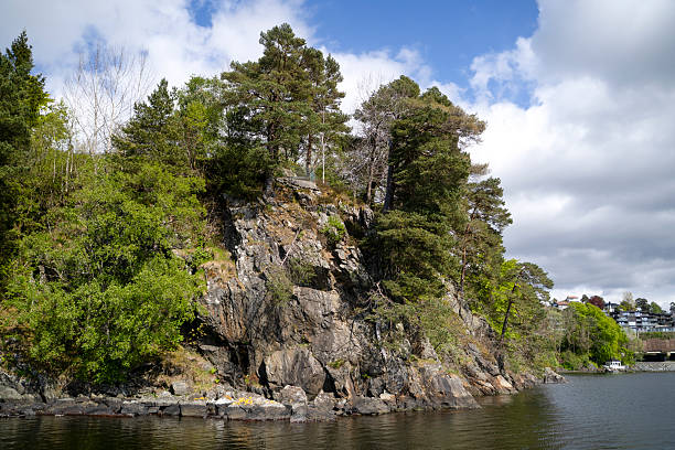 Rugged coastline in fjord