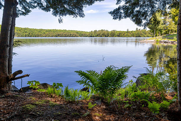 Solitaire Lake in Huntsville, Ontario offers a serene escape with its tranquil waters and lush greenery, perfect for relaxation and nature photography.