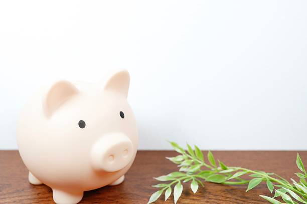 istock Piggy bank 2221768296
