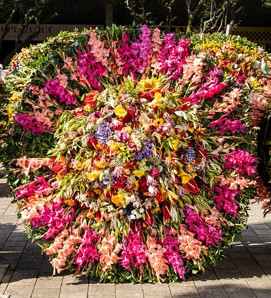 Exotic flower festival at the Medellin Flower Fair.