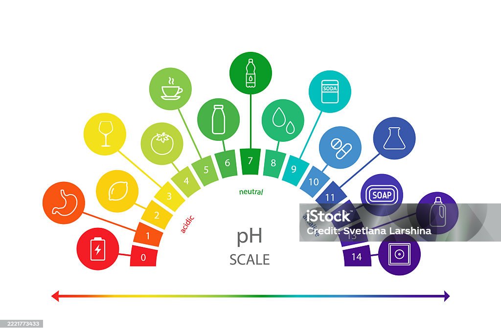 P Level Chart Ph Value Scale Chart Liquid Level Litmus Color Change Ph Food Analysis ...