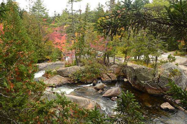 istock Natural Beauty in Baxter State Park. 2221776090