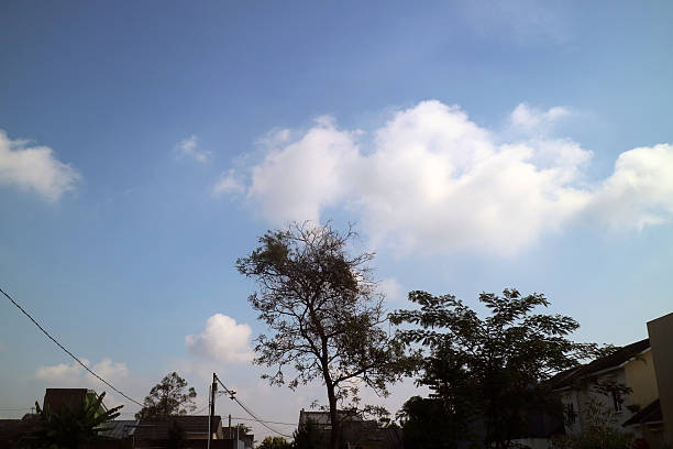 A clear blue sky with fluffy white clouds and a silhouette of a tree in the foreground. The scene includes rooftops of houses and power lines, creating a tranquil suburban atmosphere.