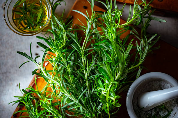 Fresh rosemary, rock salt, and olive oil on a cutting board, perfect for culinary themes.
