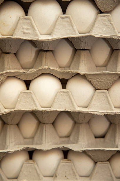 Neatly organized stacks of fresh white eggs arranged in eco-friendly cardboard trays, showcasing natural packaging concept and food storage.