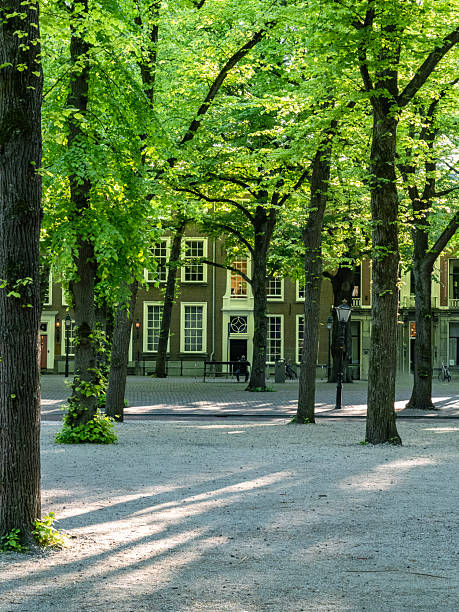 istock The Hague, lange Voorhout. 2221802493