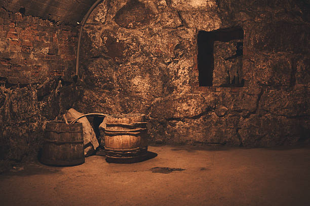 Dungeons of an old brewery in Vyborg