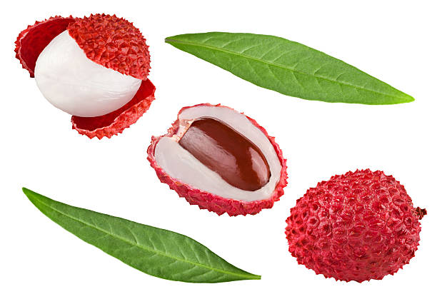 istock Fresh lychee with leaves isolated on white background. clipping path 2221806850