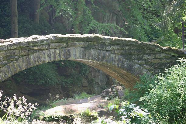 istock A small stone footbridge across a stream in bright sunlight in the woods 2221807032