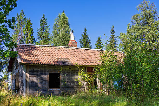 Old abandoned cottage in a forest