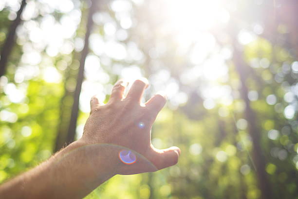 istock Caucasian male hand reaching upwards open hand gesture. Selective focus, bright forest nature background, sunny summer day, shallow depth of field, bokeh background 2221812718