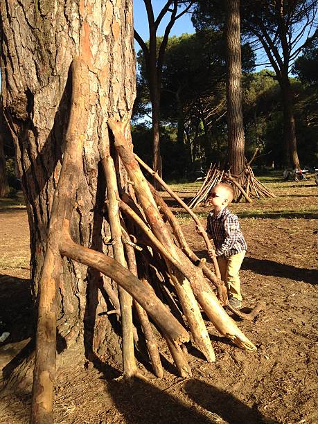 Young child enthusiastically builds a shelter with sticks against a tree in a forest. Bright sunlight filters through the trees as the child engages in a playful, creative outdoor activity.