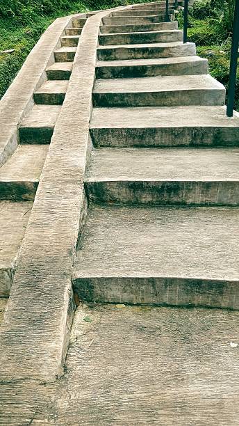 istock Concrete steps lead upwards amid lush green vegetation 2221817718