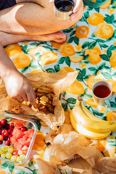 istock summer fun, picnic in the park 2221819521