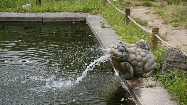 istock Stone frog fountain spouting water into garden pond 2221821428