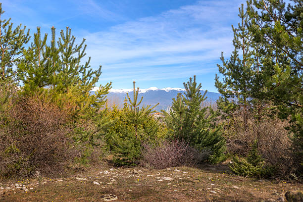 Cankiri and Kastamonu Ilgaz Mountain National Public Park