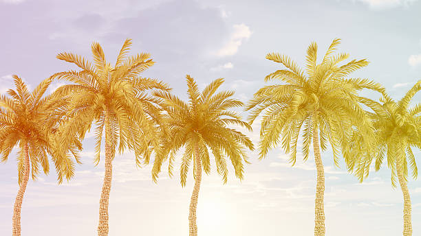 Summer Background with Colorful Palm Trees