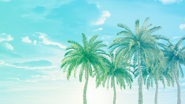 Summer Background with Colorful Palm Trees