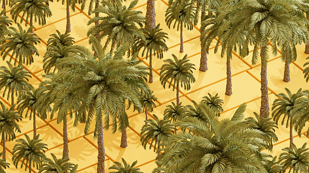 Summer Holiday Background with Palm Trees. Digitally generated image. 3d render.