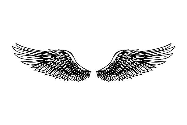 Vintage wings isolated on white background. Design elements for label, emblem, sign, brand mark. Vector illustration.