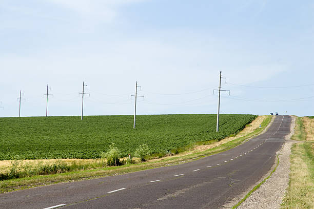 istock A road with grass and power lines 2221827897