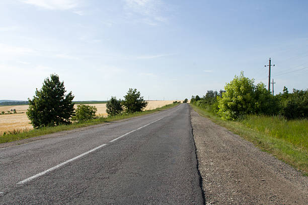 istock A road with grass and trees on the side 2221827972