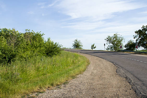 istock A road with grass and trees on the side 2221828017