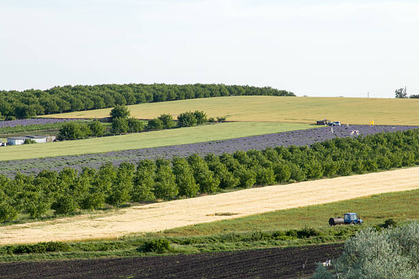 istock A farm with a tractor 2221828153