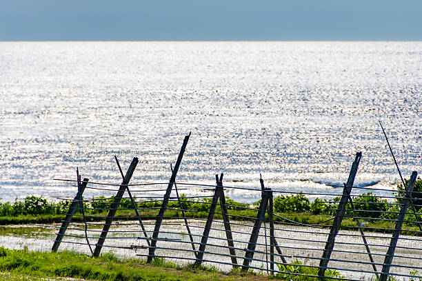 The Monterey Peninsula on the Central Coast of California comprises the cities of Monterey, Carmel, and Pacific Grove.