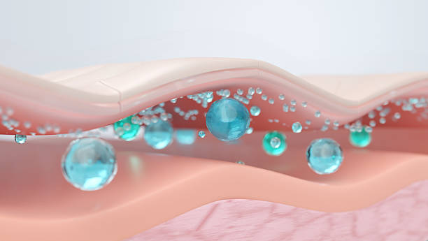 istock Hyaluronic acid locking moisture under epidermis skin layer 2221838033