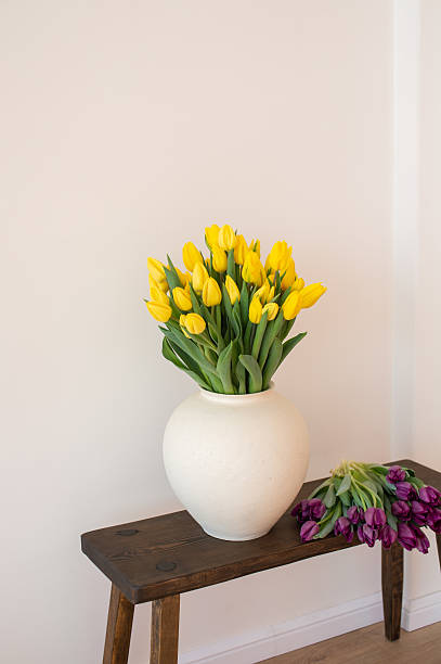 istock Yellow tulips in white vase on wooden bench against plain wall. Interior design 2221842382