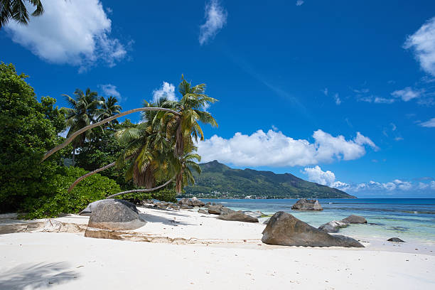 istock Beautiful beach with turquoise water, granite stone and coconut palm trees 2221845069