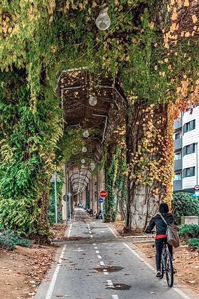 istock Vertical view: Cyclist on vine-covered path in Green tunnel under railway viaduct, Girona, Spain 2221852557