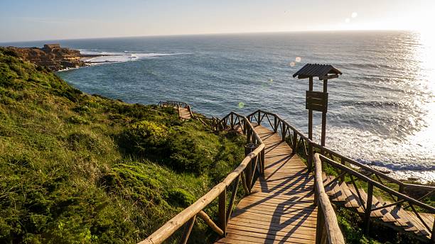 istock Scenic coastal boardwalk at sunset 2221855741