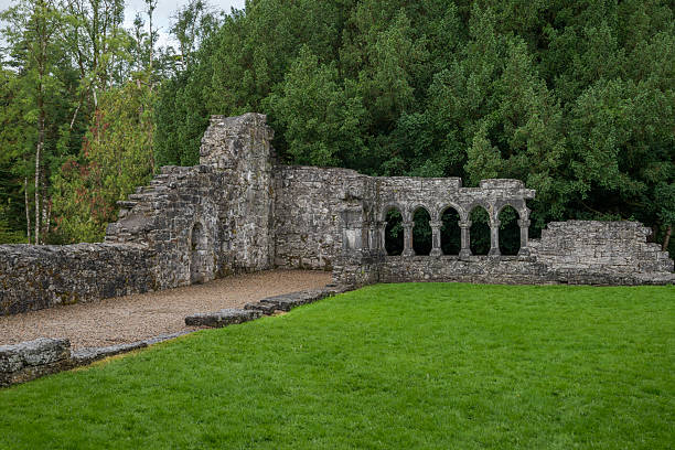 Weathered stone arches of Cong Abbey, Ireland, surrounded by a lush green lawn and dense trees under an overcast sky