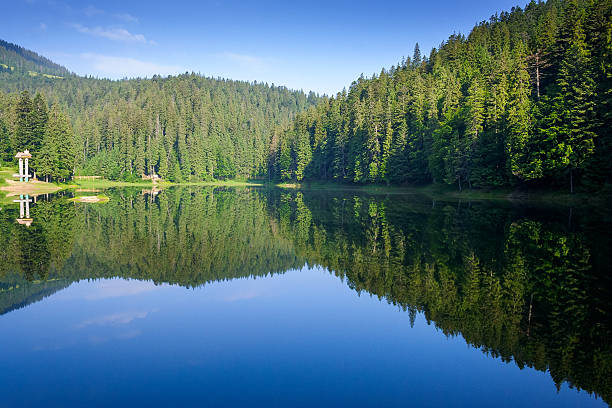 istock scenic landscape with lake among coniferous forest 2221859259