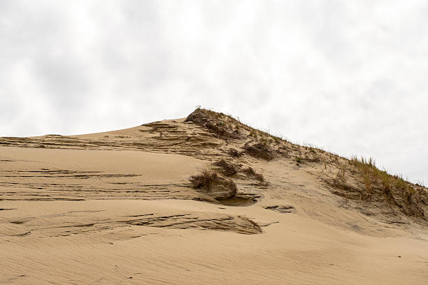 Sand dunes. Landscape Curonian Spit Lithuania
