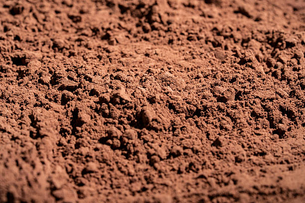 istock Natural dark brown cocoa powder textured background, closeup 2221861024
