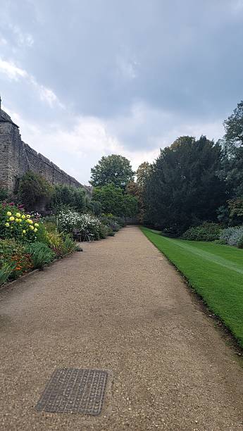 istock Serene garden path with colorful flowers. 2221863451