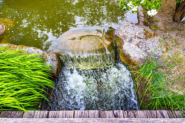 The Japanese garden of Buenos Aires is one of the largest outside of Japan. It´s a beautiful and mystic garden in the middle of the busy town of B.A.