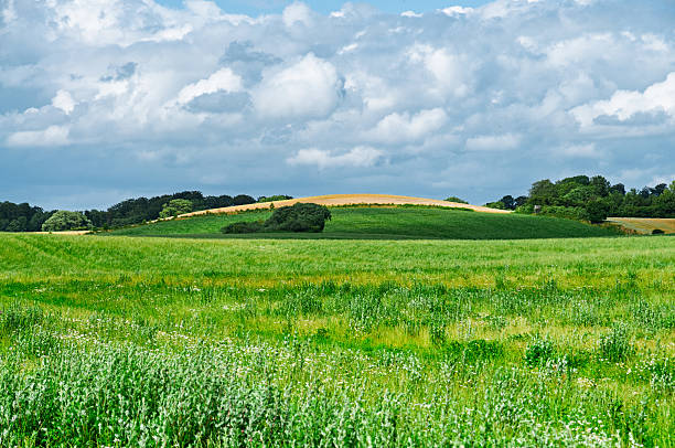 Lush green fields stretch across the landscape, featuring undulating hills and a backdrop of clouds in a rural area during late spring.