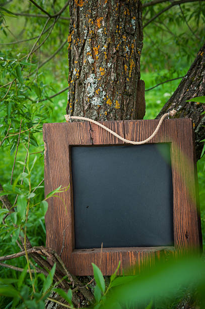 istock Rustic wooden empty chalkboard lies among green grass 2221866972