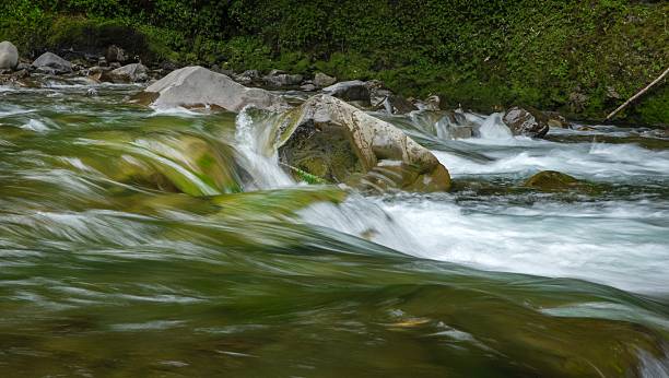 istock Waioeka River. River valley near Hawke's Bay 2221873698