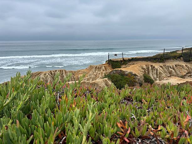istock Ice Plant on Eroded Bluffs, Carlsbad 2221873896