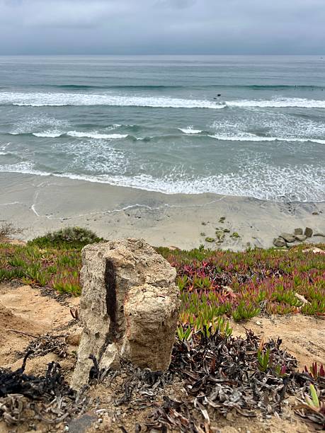 istock Eroded Concrete Footing, Carlsbad 2221873914