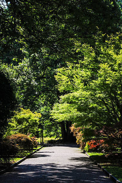 istock Scenic Garden Path in a Lakeside Villa on Lake Maggiore 2221875536