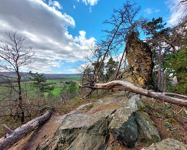 istock Rock spire emerges near fallen trees along a forested ridge with a distant valley view 2221877100